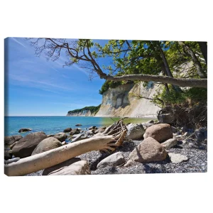 تابلو بوم کنواس طرح Baltic Sea coast on the island Ruegen (Germany) کد 654816 ساحل دریای بالتیک در جزیره روگن (آلمان)