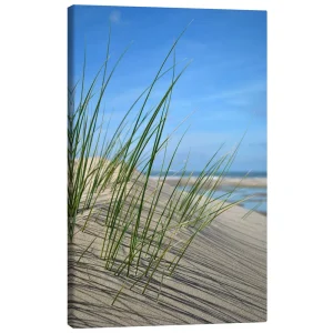 تابلو بوم کنواس طرح Dune grasses کد 663054 علف‌های تپه‌های شنی