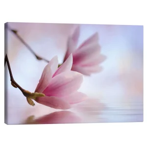 تابلو بوم کنواس طرح Magnolia blossoms by the water کد 642717 شکوفه‌های ماگنولیا در کنار آب