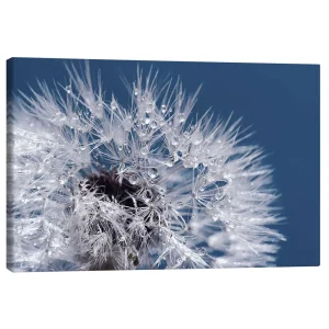 تابلو بوم کنواس طرح Dandelion