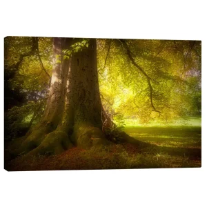 تابلو بوم کنواس طرح Place of power کد 246991 محل قدرت