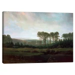 تابلو بوم کنواس طرح Afternoon کد 865990 بعد از ظهر