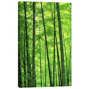 تابلو بوم کنواس طرح Bamboo forest کد 398830 جنگل بامبو