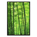تابلو قاب دار طرح Bamboo forest کد 398830 جنگل بامبو