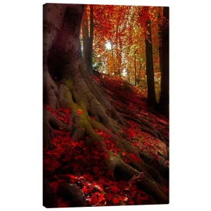 تابلو بوم کنواس طرح autumn light کد 212235 نور پاییزی