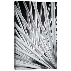تابلو بوم کنواس طرح Black and white palm fronds کد 487151 برگ‌های نخل سیاه و سفید