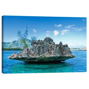 تابلو بوم کنواس طرح Coral Rock