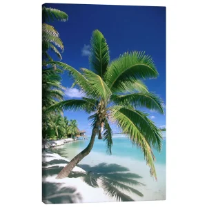 تابلو بوم کنواس طرح Aitutaki on Cook Islands کد 687080 آیتوتاکی در جزایر کوک