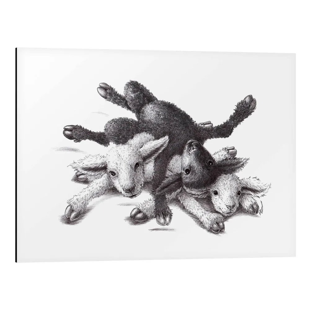 233259_aluminium-print تابلو شاسی طرح Three Sheep - Ball Of Wood کد 497562 سه گوسفند - گوی چوبی