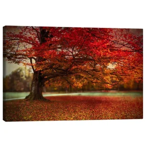 تابلو بوم کنواس طرح Finest autumn کد 696750 زیباترین پاییز