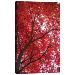 تابلو بوم کنواس طرح Fire red کد 400850 قرمز آتشین