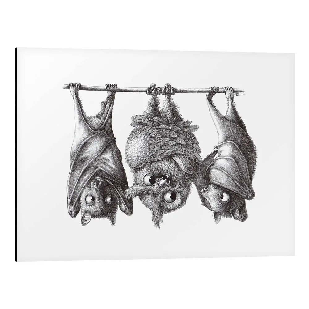 237107_aluminium-print تابلو شاسی طرح Vampire - Owl and Two Bats کد 188914 خونآشام - جغد و دو خفاش