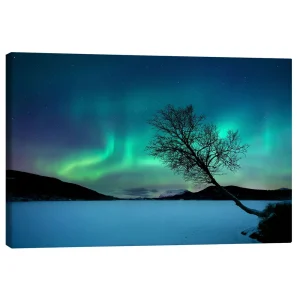 تابلو بوم کنواس طرح Aurora Borealis at Sandvannet Lake کد 686075 شفق قطبی در دریاچه ساندوانت