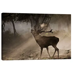 تابلو بوم کنواس طرح Deer in the forest کد 768636 گوزن در جنگل