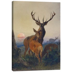 تابلو بوم کنواس طرح A Stag with Deer at Sunset کد 331251 گوزن نر با گوزن در غروب آفتاب