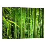 تابلو شاسی طرح Bamboo II کد 299367 بامبو ۲