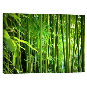 تابلو بوم کنواس طرح Bamboo II کد 299367 بامبو ۲