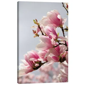 تابلو بوم کنواس طرح Magnolia کد 630538 ماگنولیا