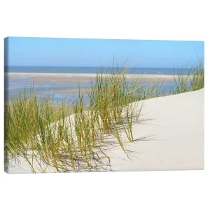 تابلو بوم کنواس طرح Dune in summer کد 782054 تپه شنی در تابستان