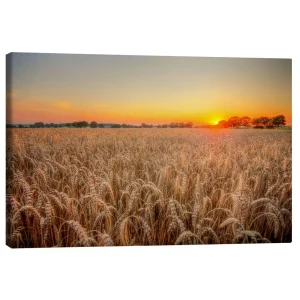 تابلو بوم کنواس طرح kornfeld کد 618317 کورنفلد