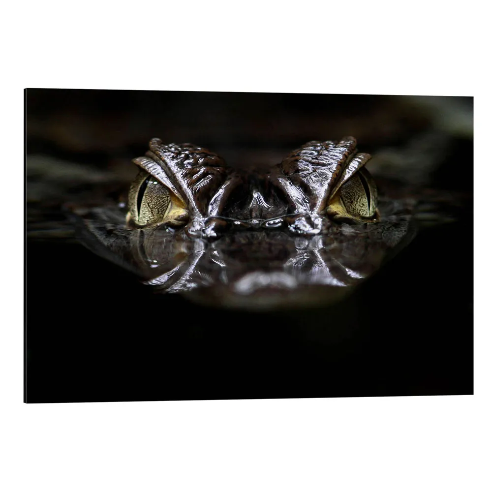 338573_aluminium-print تابلو شاسی طرح alligator کد 389688 تمساح