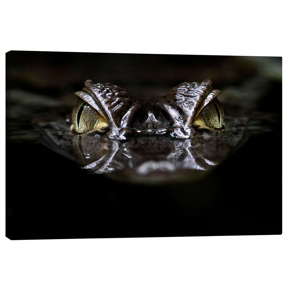 338573_canvas تابلو بوم کنواس طرح alligator کد 389688 تمساح
