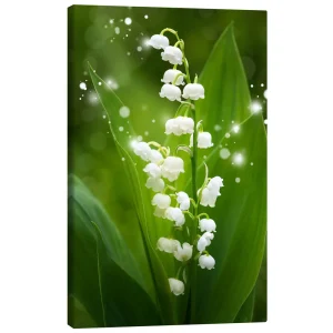 تابلو بوم کنواس طرح Lily of the valley کد 189771 نیلوفر دره
