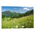 تابلو شاسی طرح alpine meadow germany کد 894993 چمنزار آلپاین، آلمان