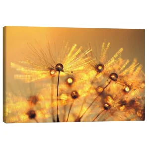 تابلو بوم کنواس طرح Dandelion golden beads کد 929151 مهره‌های طلایی قاصدک