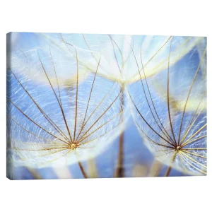 تابلو بوم کنواس طرح Dandelion in blue sky کد 564226 قاصدک در آسمان آبی