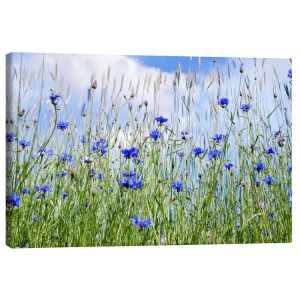 تابلو بوم کنواس طرح Cornflowers کد 185131 گل‌های ذرت