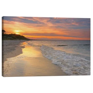 تابلو بوم کنواس طرح At the baltic sea کد 678805 در دریای بالتیک