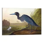 تابلو شاسی طرح Blue Heron کد 929683 حواصیل آبی