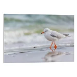 تابلو شاسی طرح Beach walk کد 696856 پیاده‌روی ساحلی