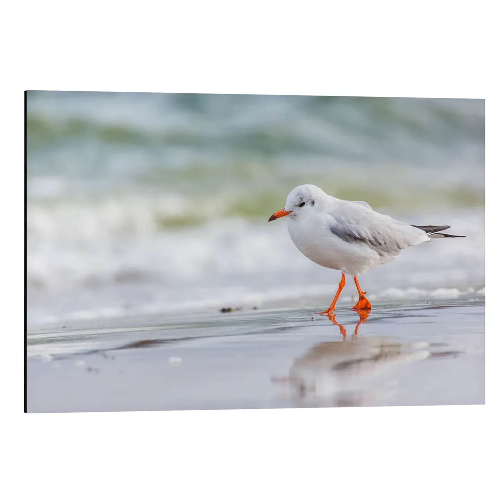 360154_aluminium-print تابلو شاسی طرح Beach walk کد 696856 پیادهروی ساحلی