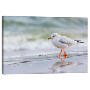 تابلو بوم کنواس طرح Beach walk کد 696856 پیاده‌روی ساحلی