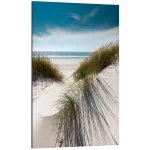 تابلو شاسی طرح Dunes with fine beach grass کد 960408 تپه‌های شنی با چمن‌های ساحلی زیبا