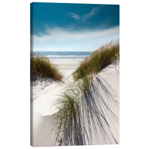 تابلو بوم کنواس طرح Dunes with fine beach grass کد 960408 تپه‌های شنی با چمن‌های ساحلی زیبا