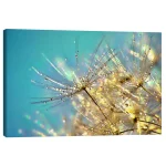 تابلو بوم کنواس طرح Dandelion Glitter کد 930884 اکلیل قاصدک