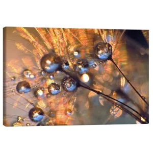 تابلو بوم کنواس طرح Dandelion dew drops II کد 259493 قطرات شبنم قاصدک II