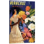 تابلو شاسی طرح Veracruz