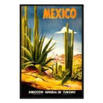 تابلو قاب دار طرح Mexico cactus کد 397005 کاکتوس مکزیکی